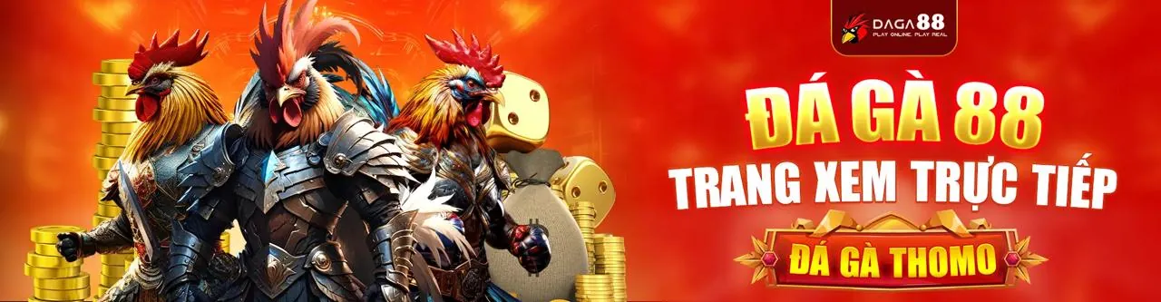 Đá Gà Trực Tuyến Okking Link Vào 2026