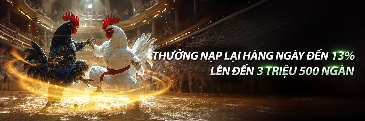 Sân vận động bóng đá với khán giả cuồng nhiệt, thể hiện sự sôi động của cá cược thể thao OKKING