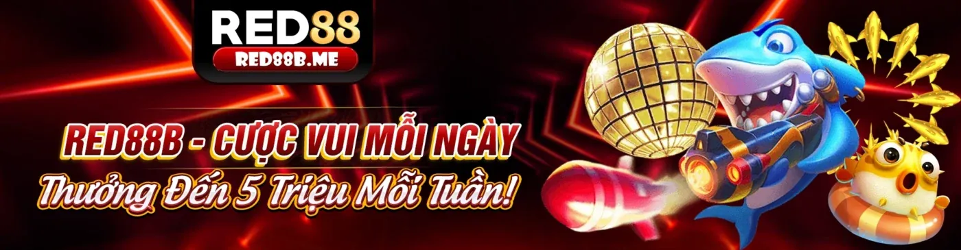 Hình ảnh chính của Blog OKKING Link Vào 2026