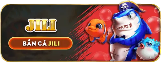 Minh họa cho phần Câu hỏi thường gặp