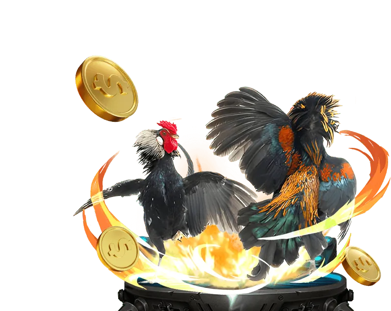 Hoàn trả cược OKKING